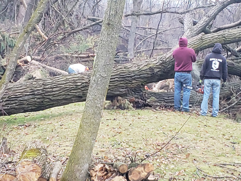 /pictures/Trail Clean Up 2018/20181104_075145_001.jpg